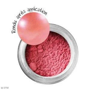 site officiel Graine Créative Feuille à Dorer Poudre Effet Métallique – Rose Corail – 6 G 7